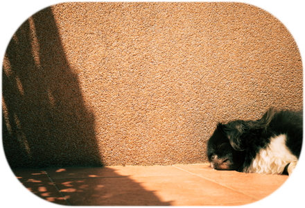 Fjaka | What’s the big rush ? Come and rest for a moment... | https://marinolix.art/wp-content/uploads/2026/04/Full-11.png