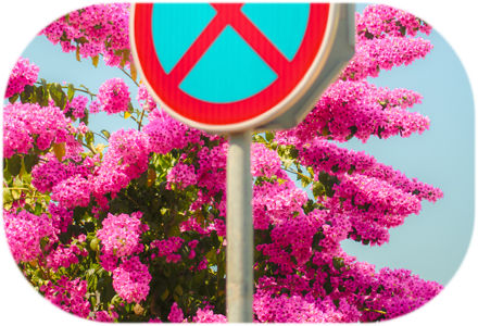 Trouble in paradise | It was a beautiful day, and then there it was... the sign that ruins everything. At first, I was mad, thinking it could ruin my day. But then I remembered, I don’t even have a car. | https://marinolix.art/wp-content/uploads/2026/04/Full-16.png
